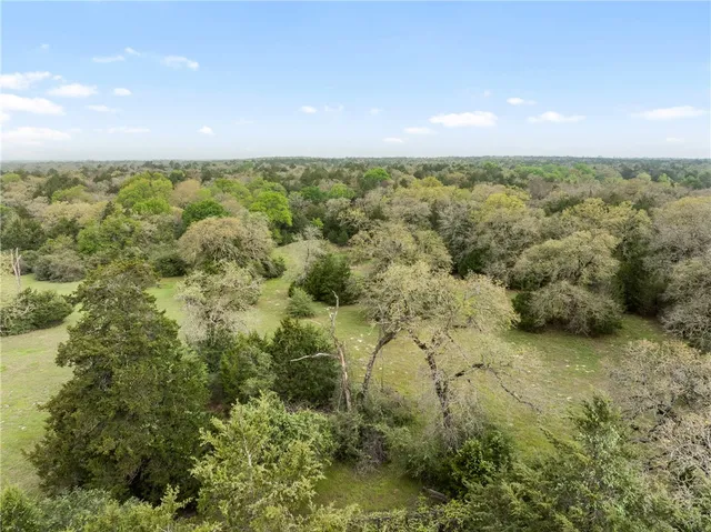 an aerial view of residential houses with outdoor space and trees