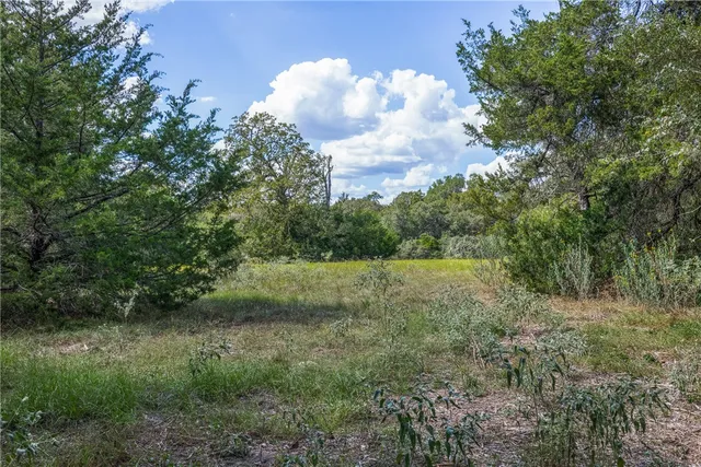 a view of a green field with lots of bushes