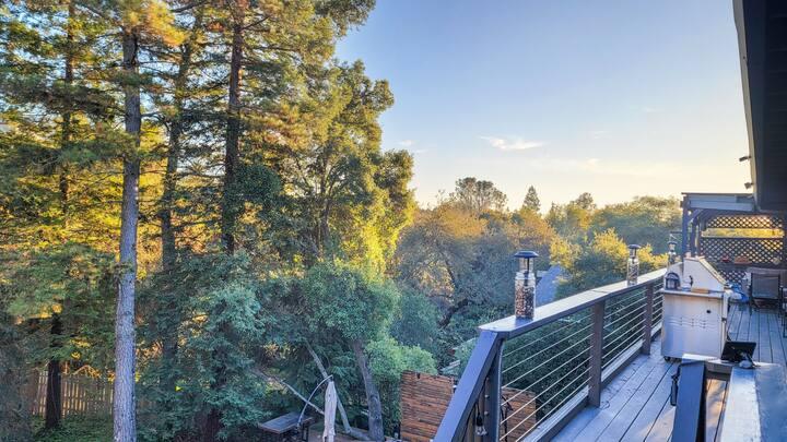 3571 Sudbury Road Cameron Park, CA 95682 - Photo 43 of 87