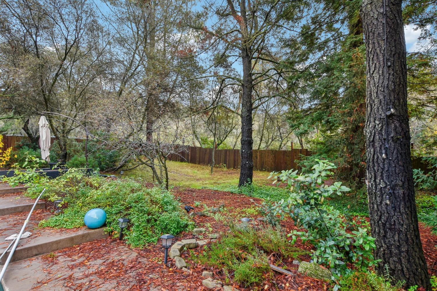 3571 Sudbury Road Cameron Park, CA 95682 - Photo 46 of 87