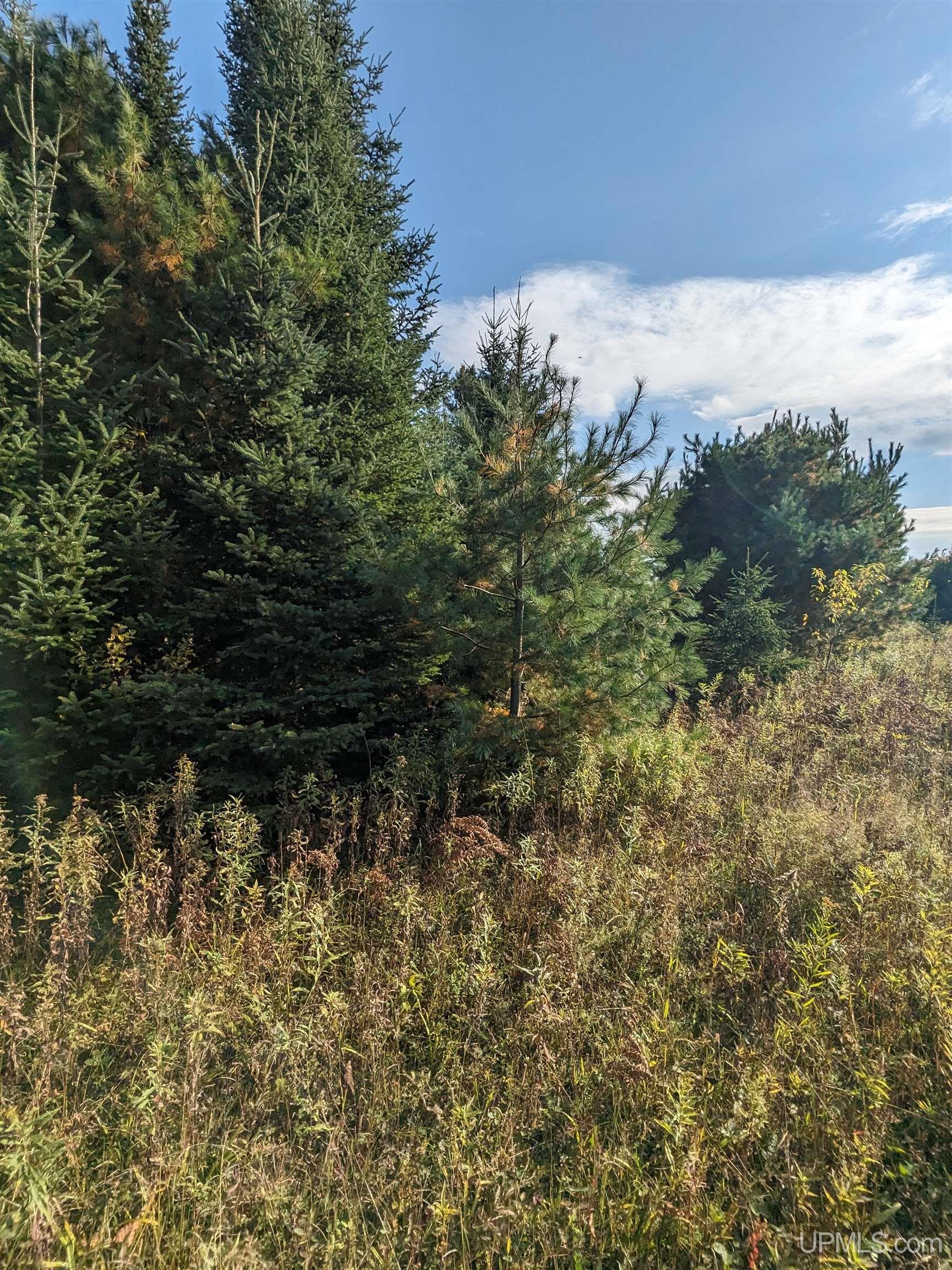 Tbd Newberry Road Nisula, MI 49952 - Photo 23 of 24 Gallery Image 23