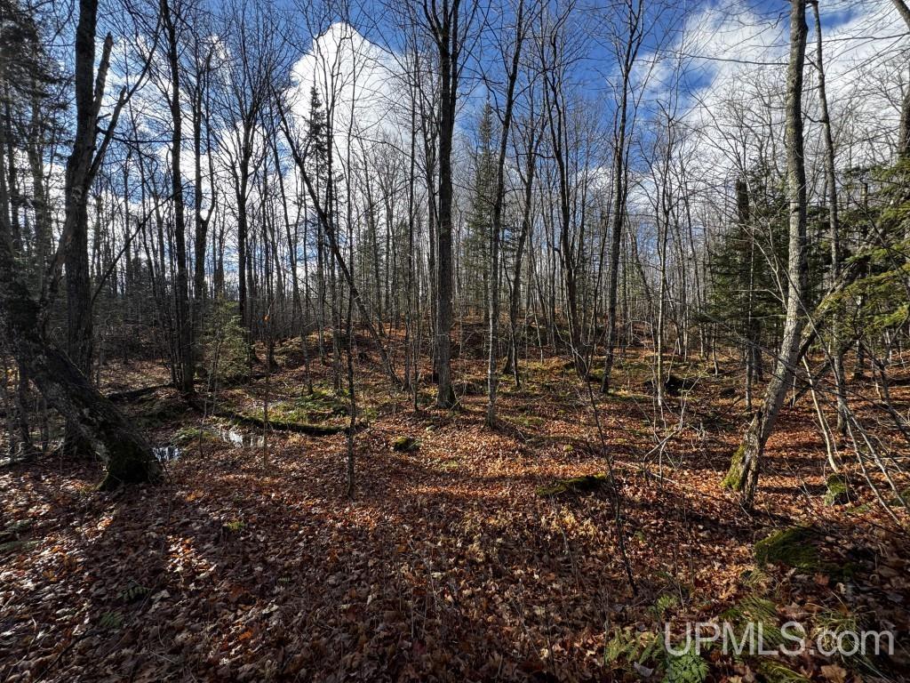 Tbd Tbd Herman Nestoria Road Lanse, MI 49946 - Photo 11 of 25