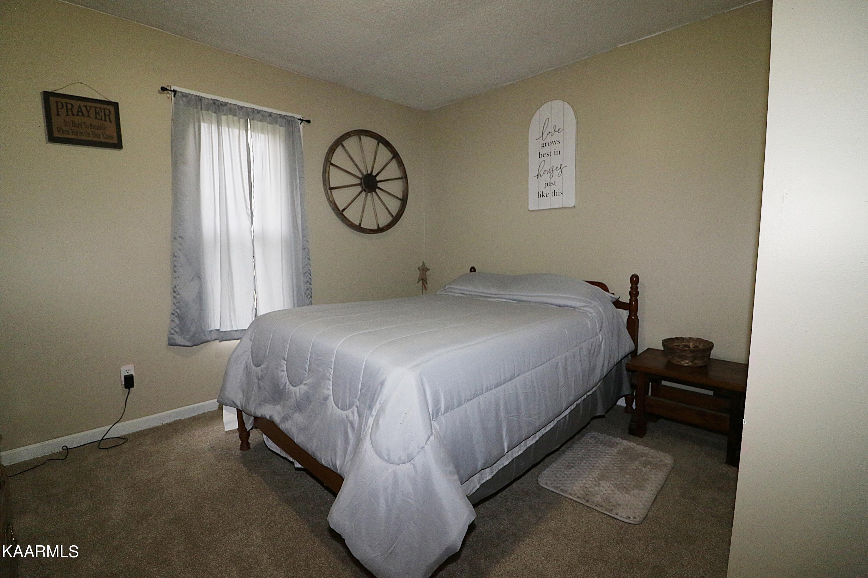 241 Bird Holler Road Oneida, TN 37841 - Photo 16 of 32 094A8017
