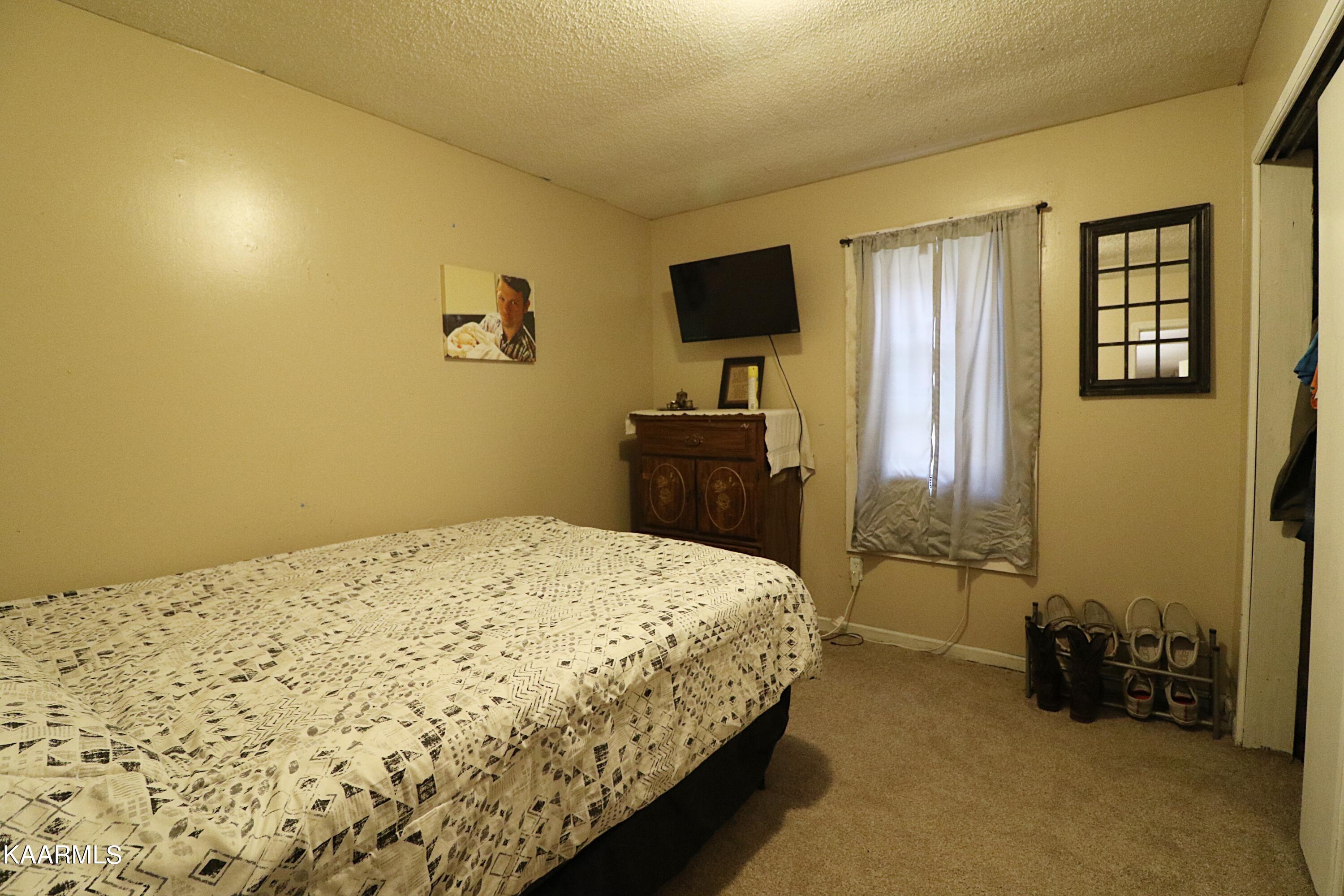 241 Bird Holler Road Oneida, TN 37841 - Photo 18 of 32 094A8014