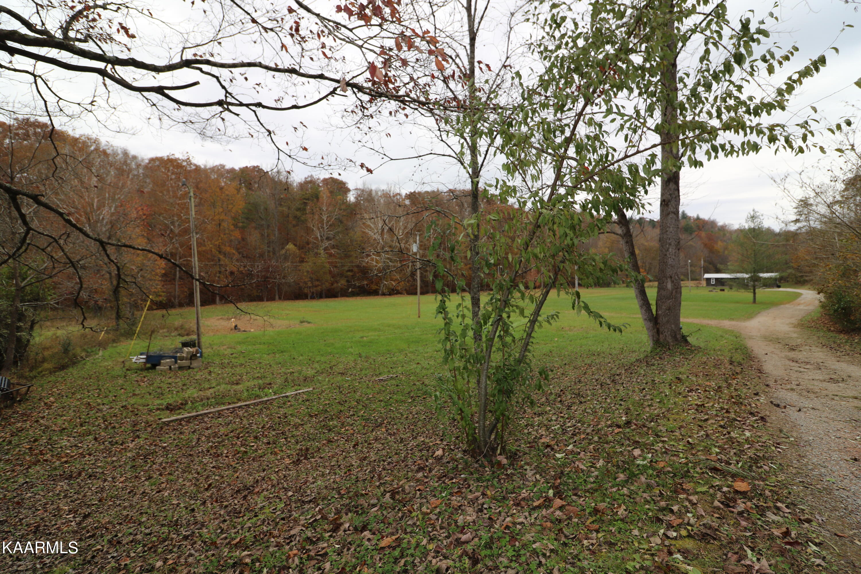 241 Bird Holler Road Oneida, TN 37841 - Photo 2 of 32 094A7995