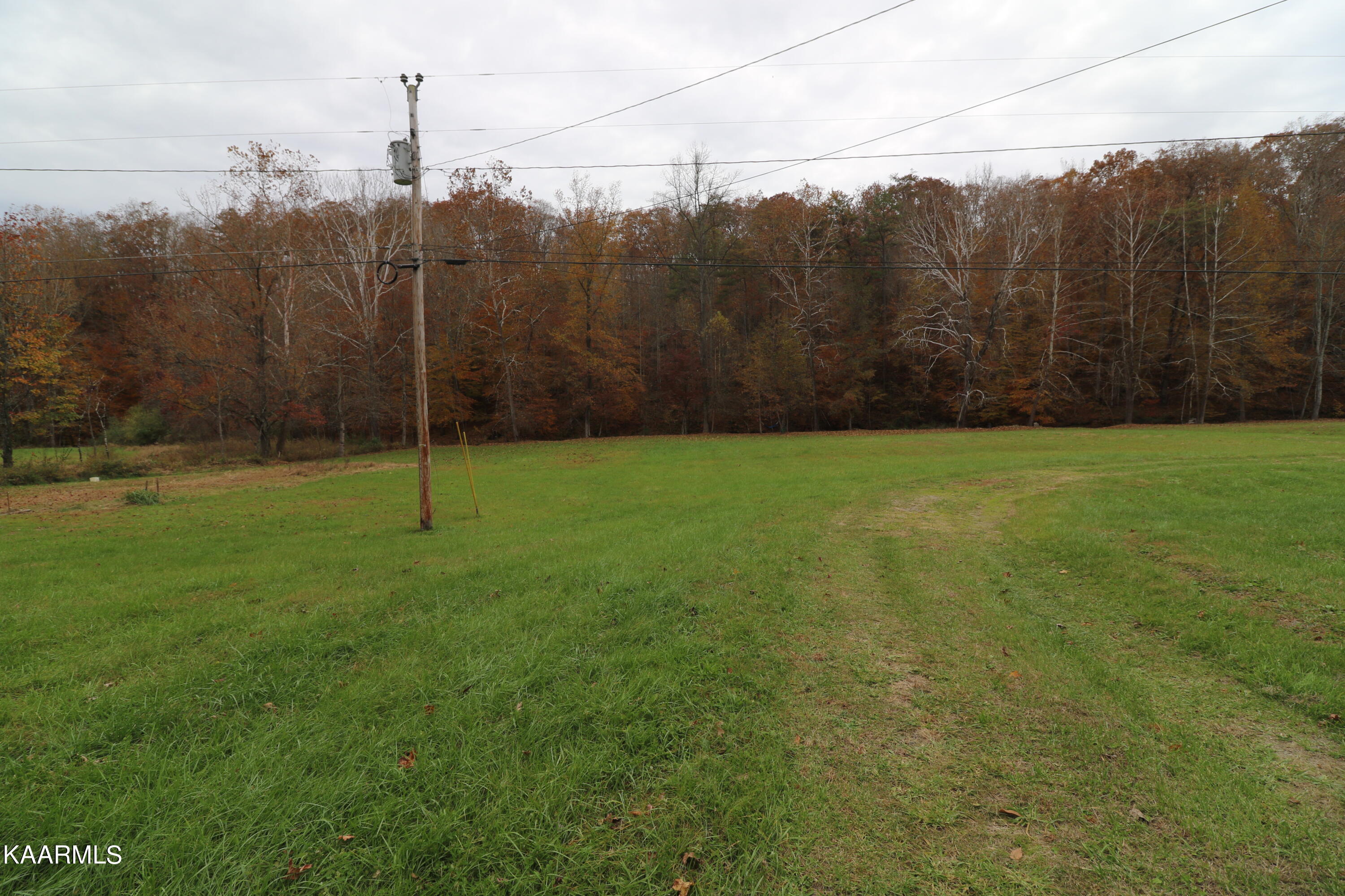 241 Bird Holler Road Oneida, TN 37841 - Photo 25 of 32 094A7999