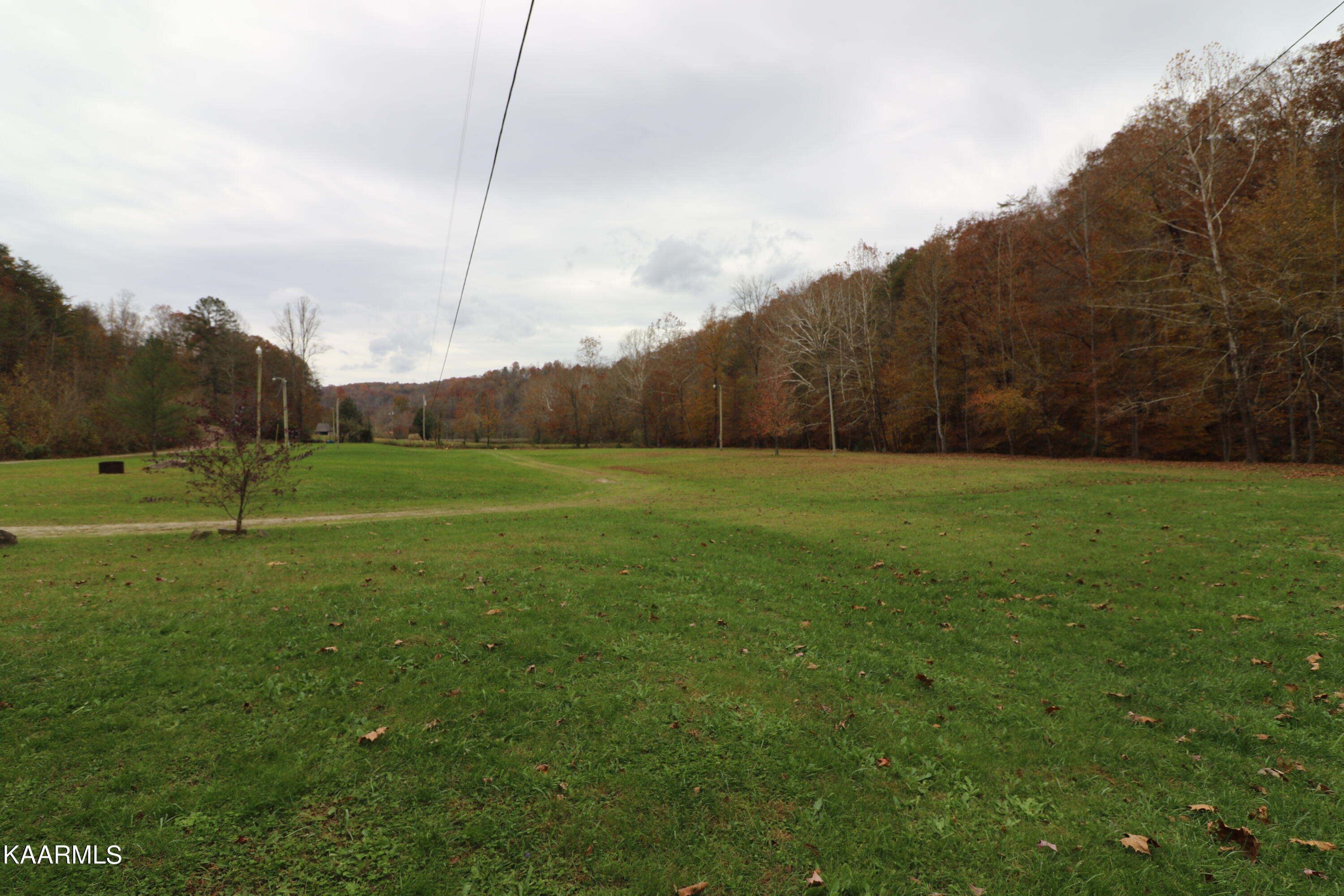 241 Bird Holler Road Oneida, TN 37841 - Photo 26 of 32 094A8011