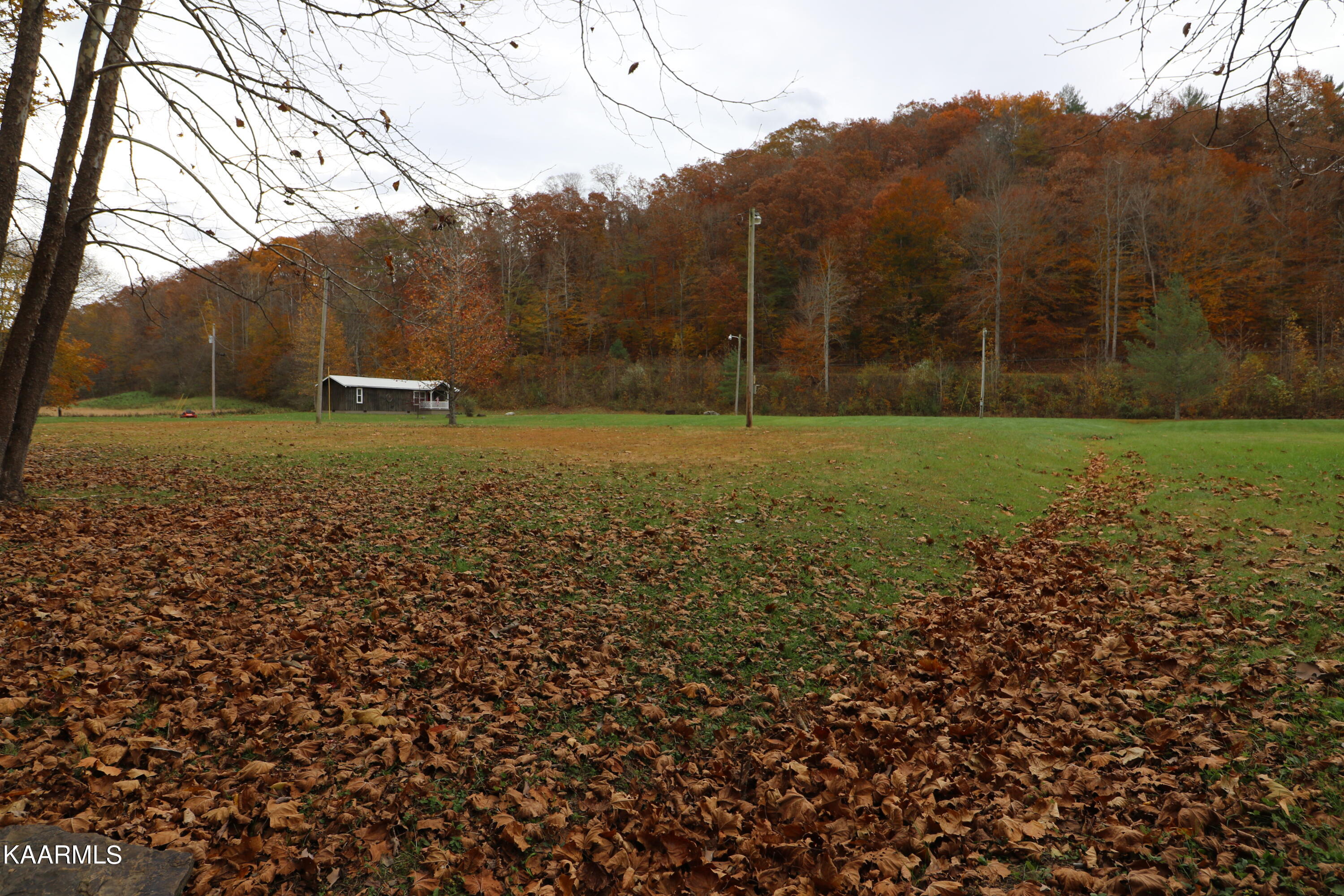 241 Bird Holler Road Oneida, TN 37841 - Photo 28 of 32 094A8003