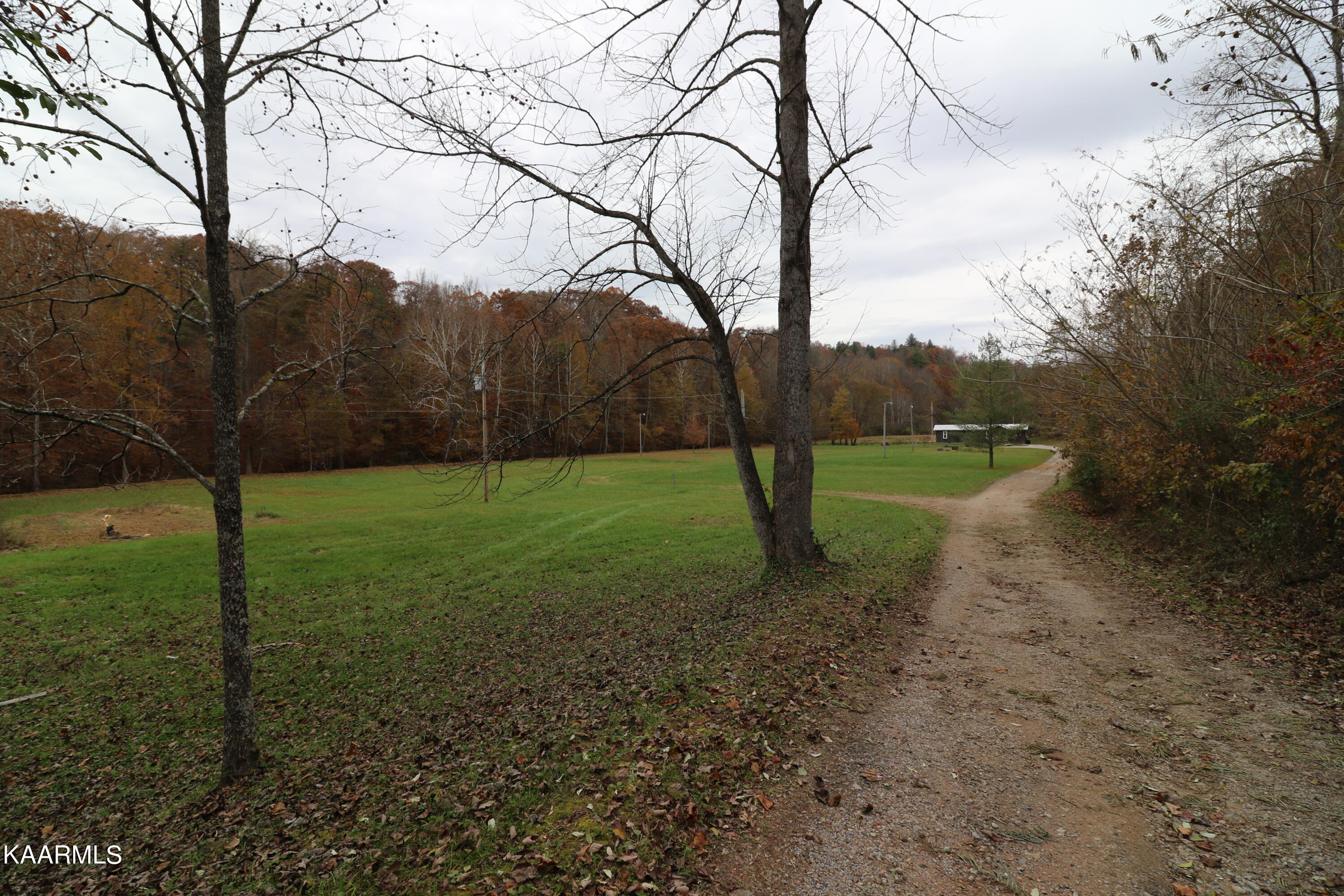 241 Bird Holler Road Oneida, TN 37841 - Photo 3 of 32 094A7997