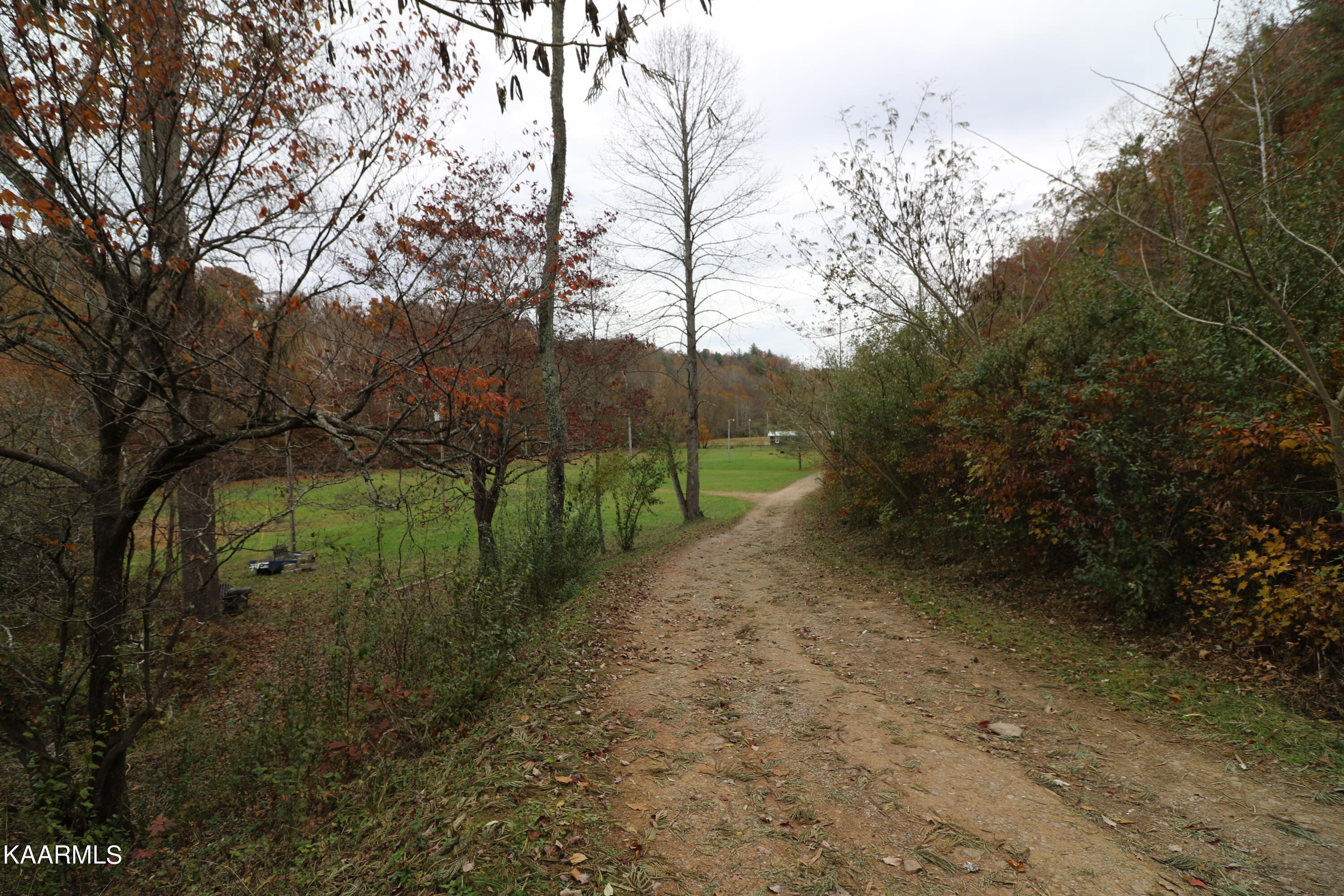 241 Bird Holler Road Oneida, TN 37841 - Photo 31 of 32 094A7994
