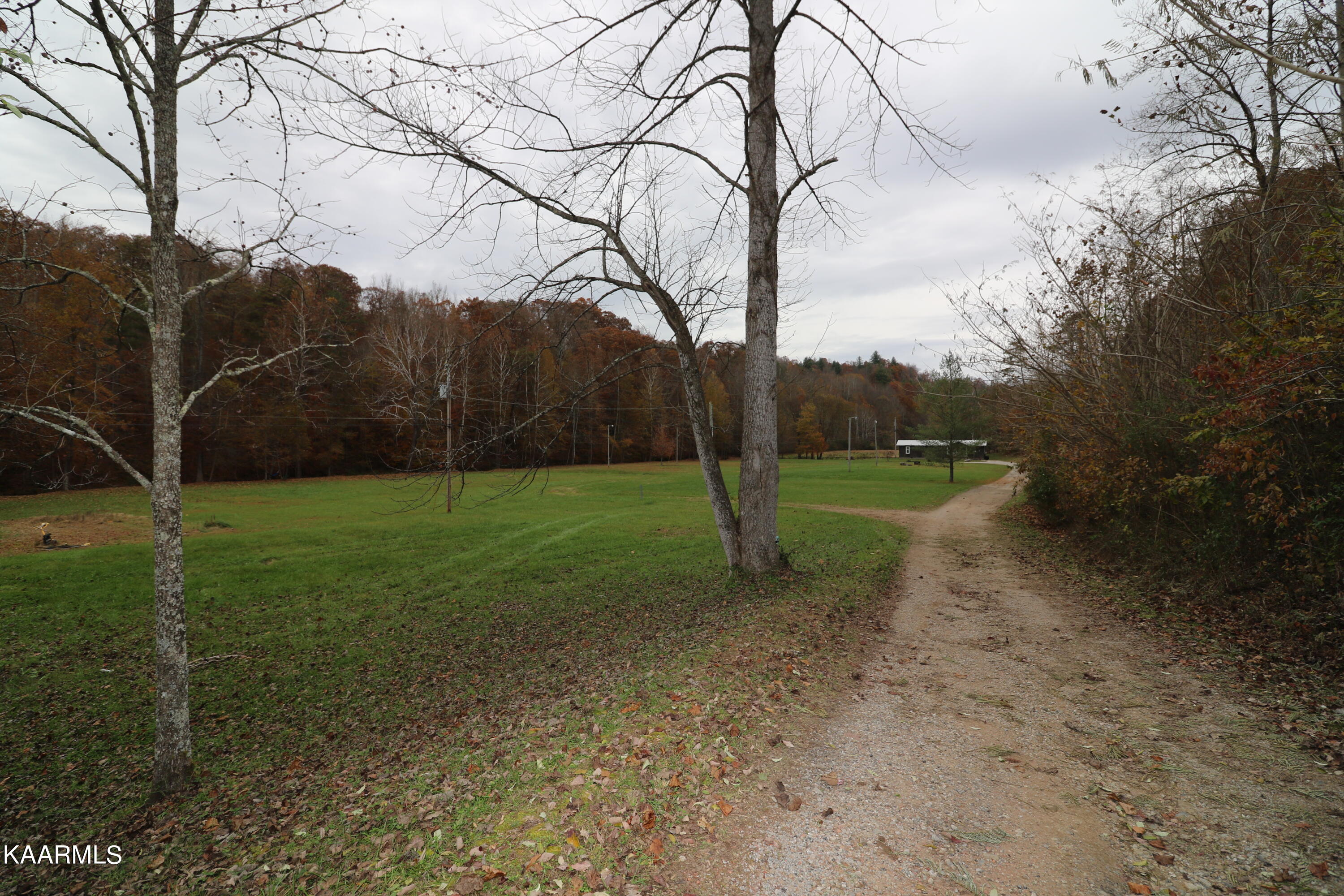 241 Bird Holler Road Oneida, TN 37841 - Photo 32 of 32 094A7996