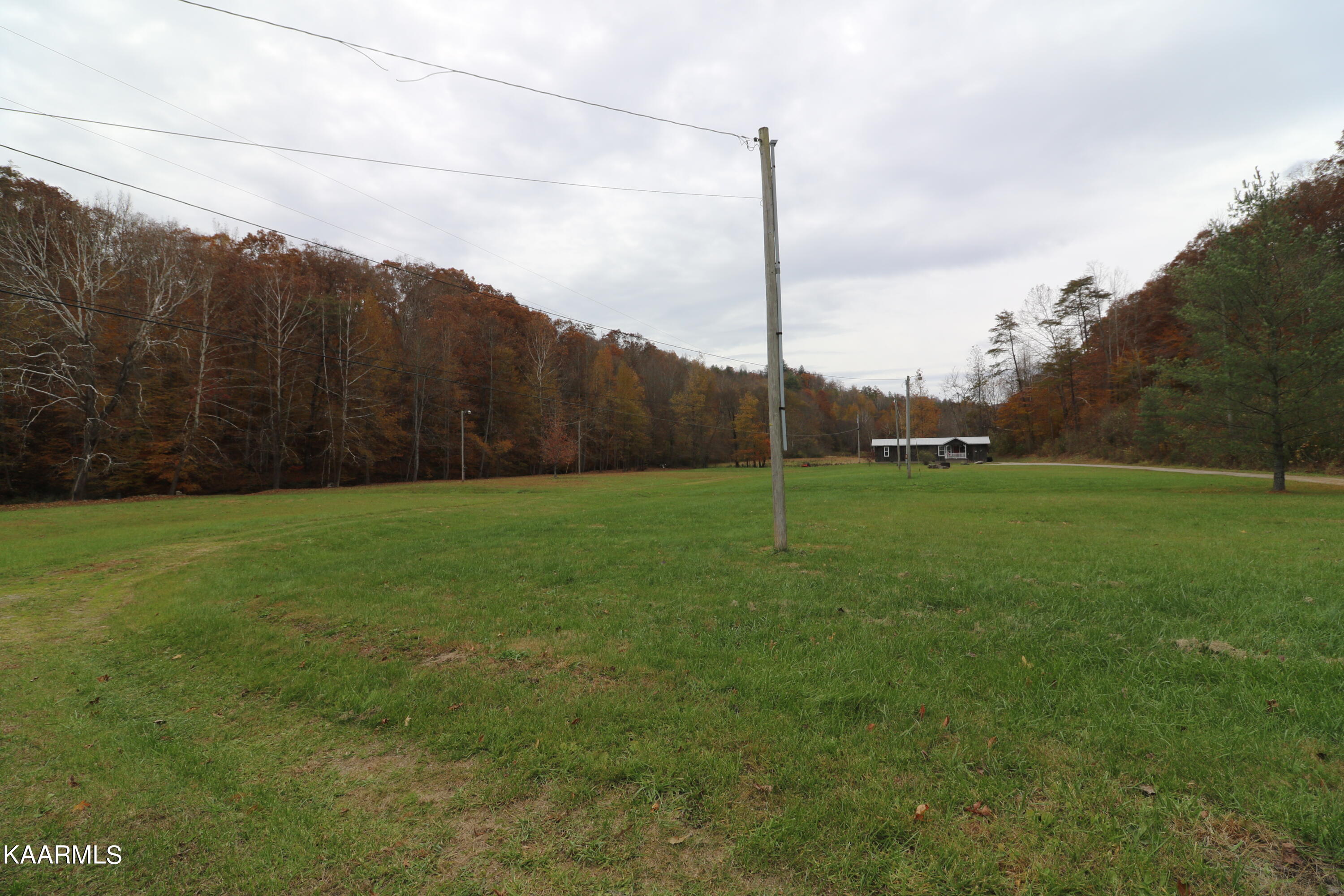 241 Bird Holler Road Oneida, TN 37841 - Photo 4 of 32 094A7998