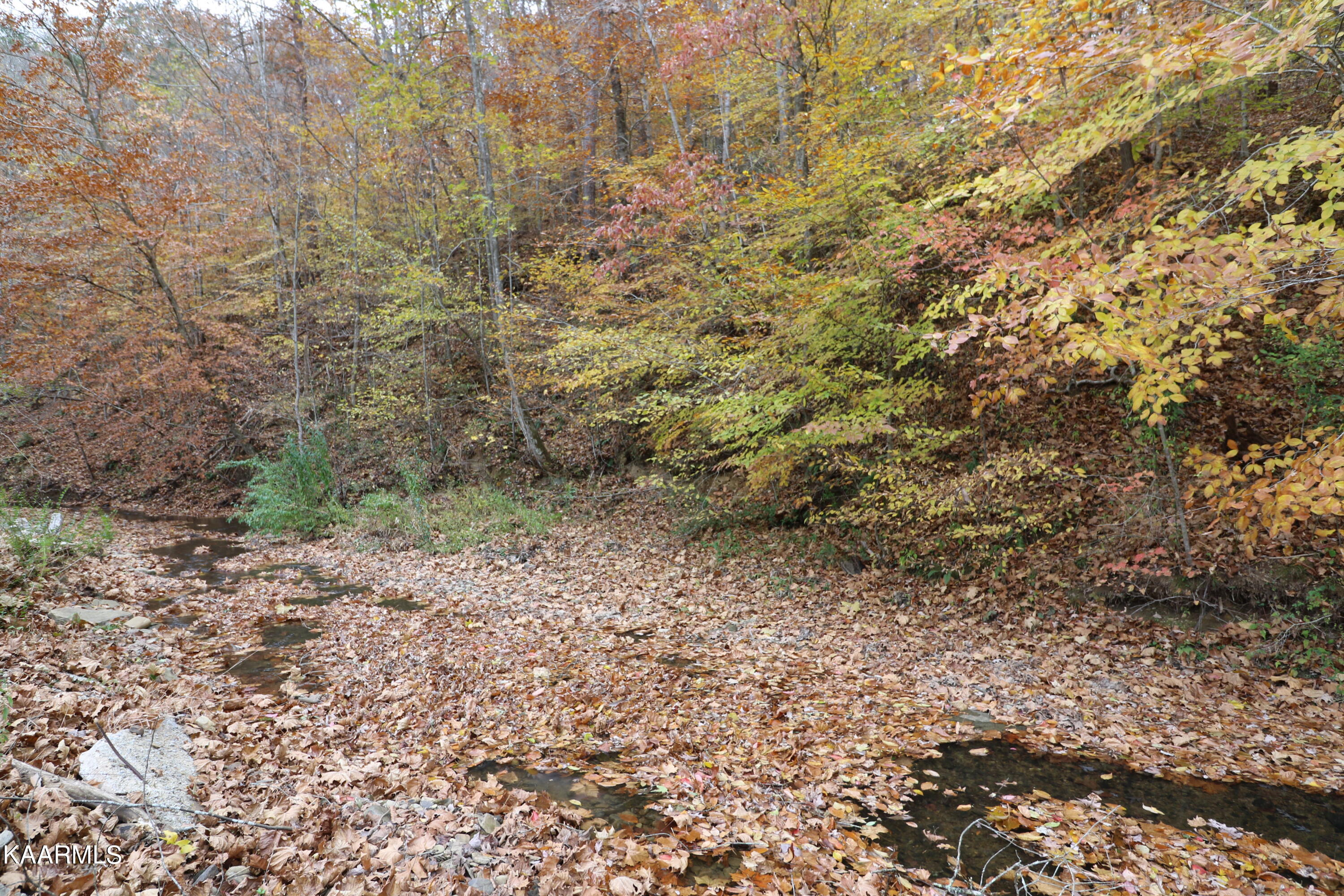 241 Bird Holler Road Oneida, TN 37841 - Photo 7 of 32 094A8004
