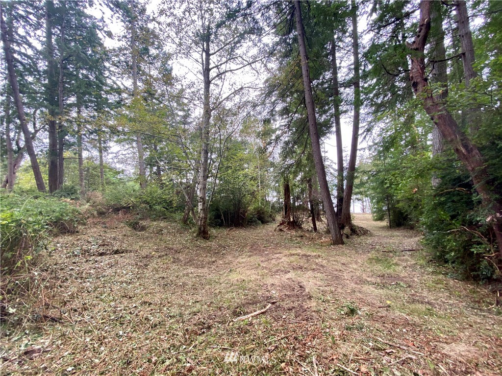 6604 Crescent Beach Road Northwest Vaughn, WA 98394 - Photo 11 of 17 Gallery Image 11