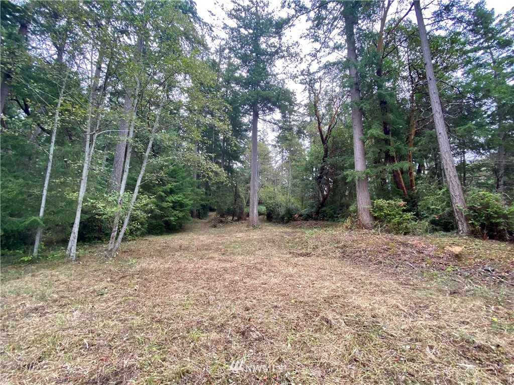 6604 Crescent Beach Road Northwest Vaughn, WA 98394 - Photo 12 of 17 Gallery Image 12