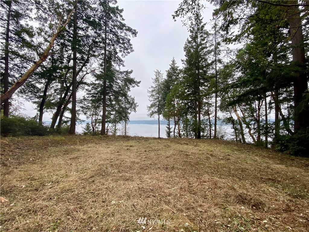 6604 Crescent Beach Road Northwest Vaughn, WA 98394 - Photo 3 of 17 Gallery Image 3