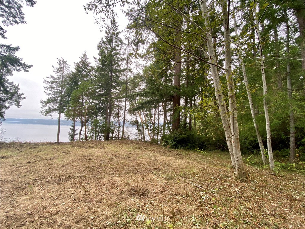 6604 Crescent Beach Road Northwest Vaughn, WA 98394 - Photo 5 of 17 Gallery Image 5