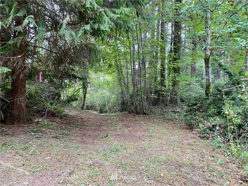6604 Crescent Beach Road Northwest Vaughn, WA 98394 - Photo 10 of 17 Gallery Image 10