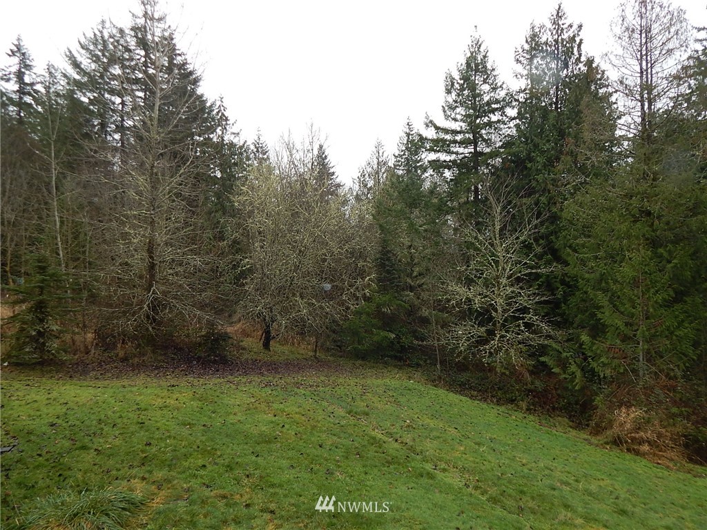 322 P G Sweet Road Kelso, WA 98626 - Photo 4 of 23