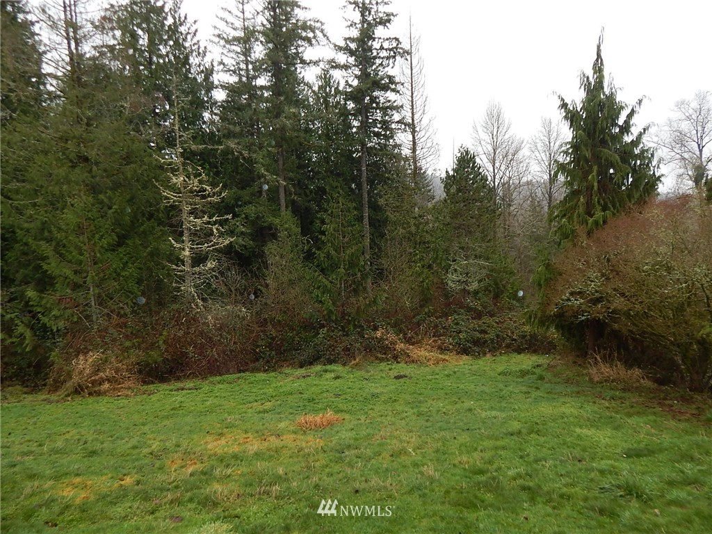 322 P G Sweet Road Kelso, WA 98626 - Photo 5 of 23