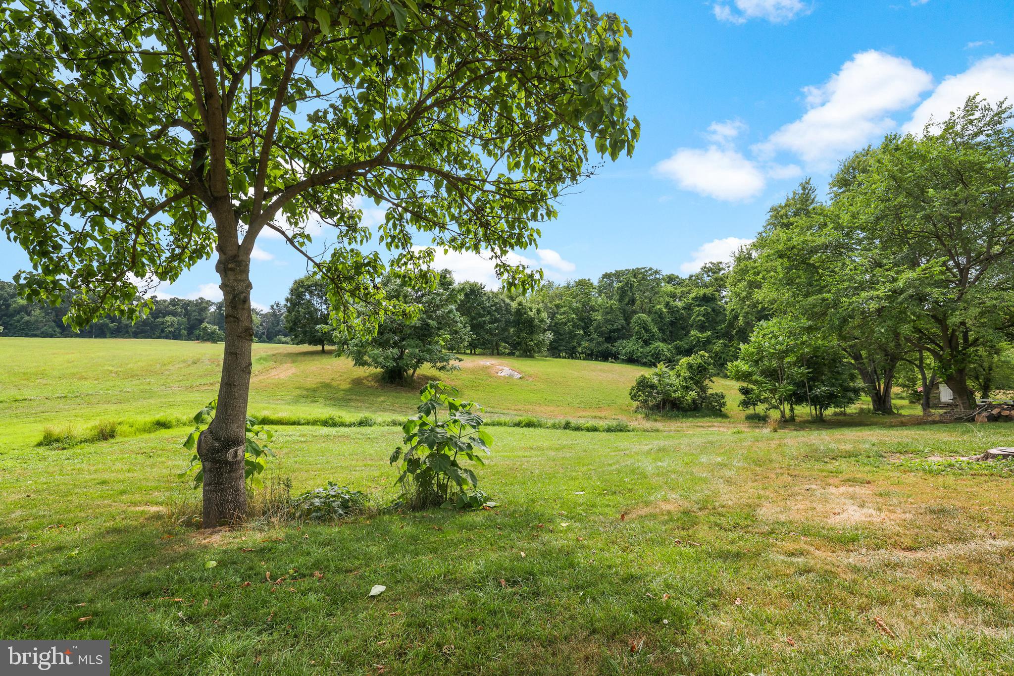 18373 Lickey Mill Road Purcellville, VA 20132 - Photo 61 of 80