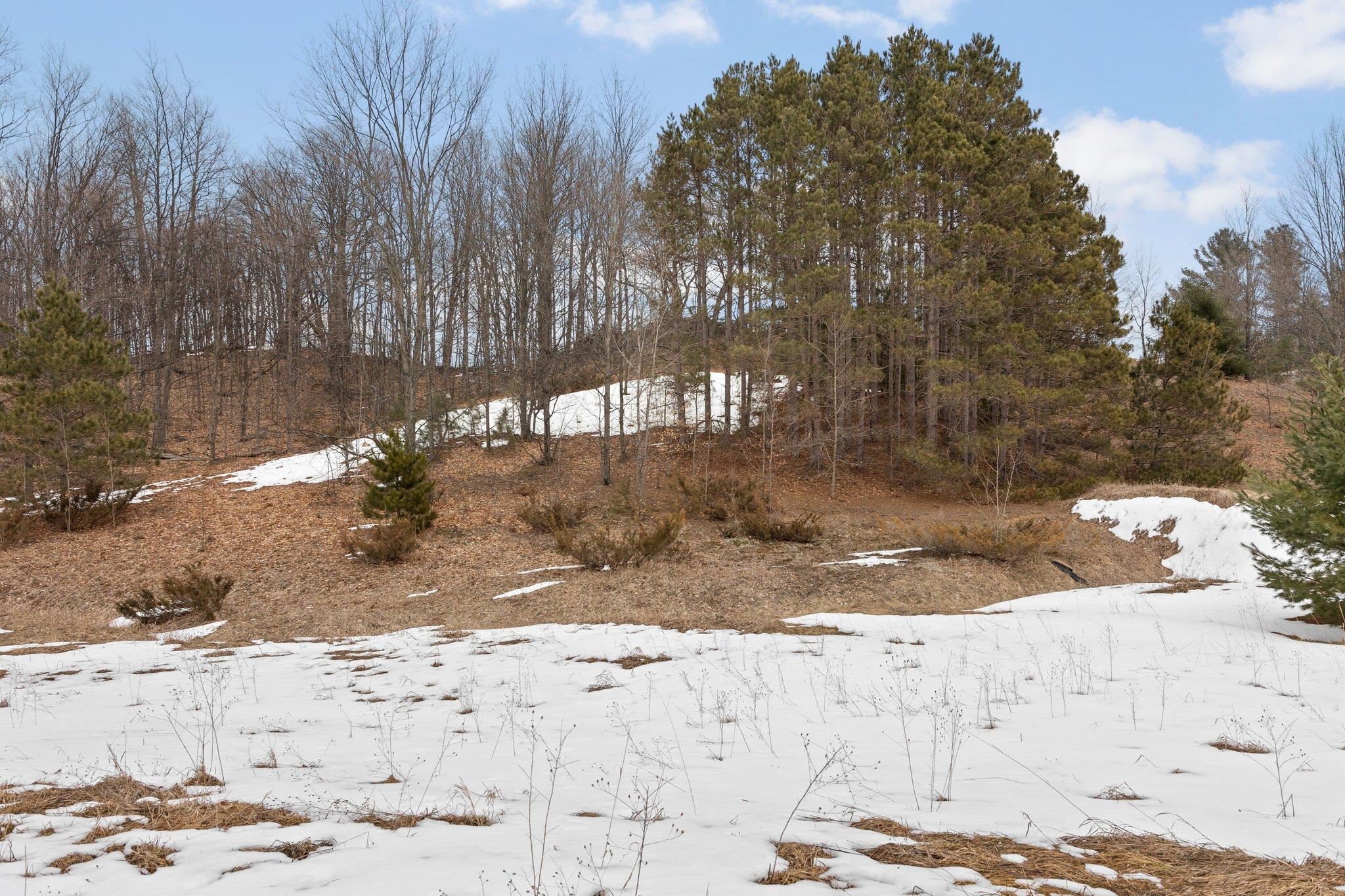 5 East Meander Lane Cedar, MI 49621 - Photo 7 of 36