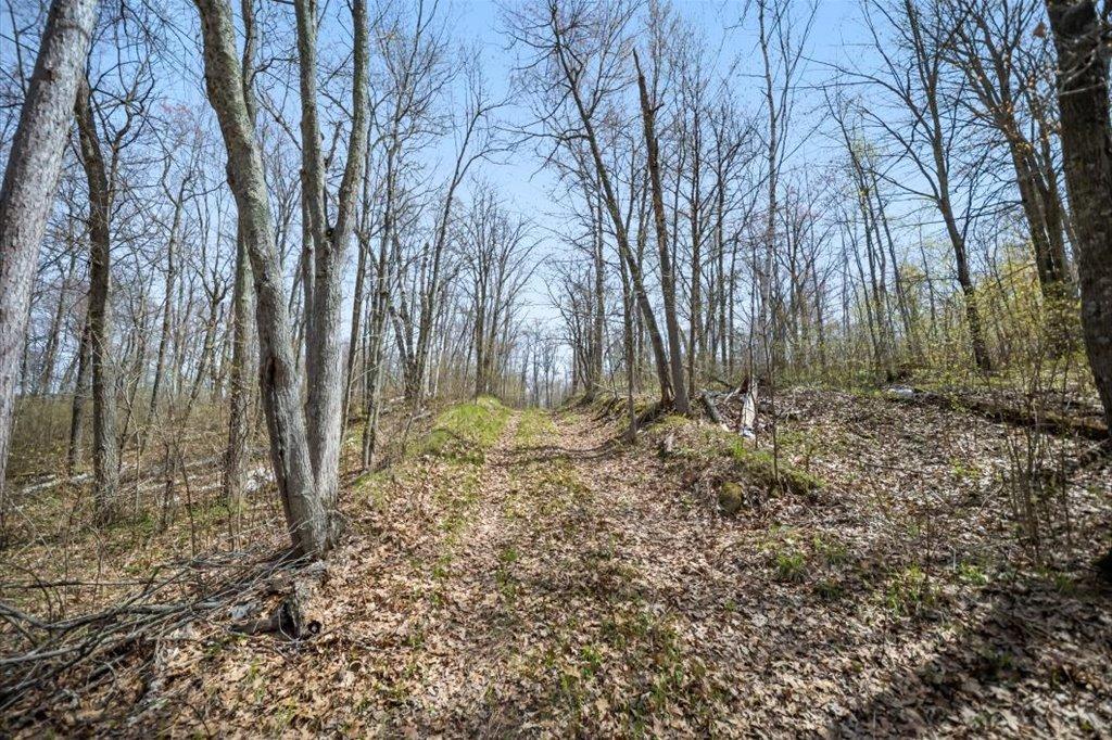 9382 County Road 8 Brainerd, MN 56401 - Photo 80 of 108