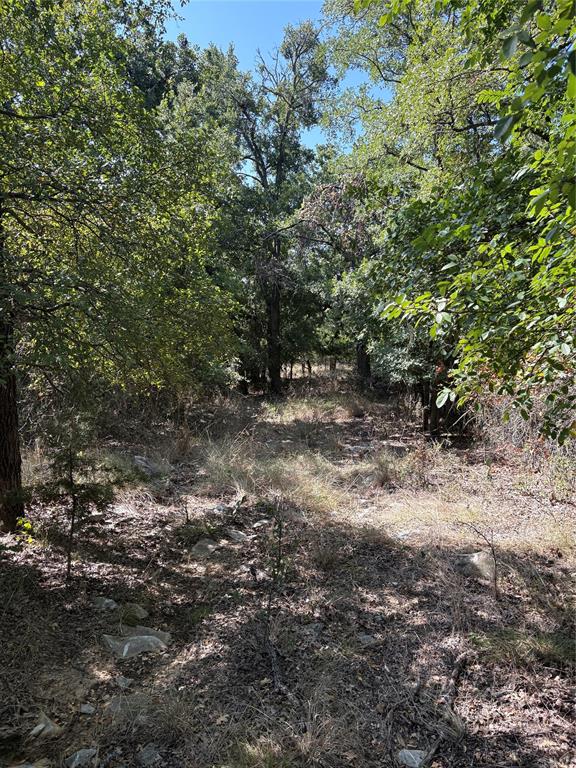 0 Gopher Road Millsap, TX 76066 - Photo 2 of 11 Wooded property featuring mature trees, natural ground cover, and exposed rock formations