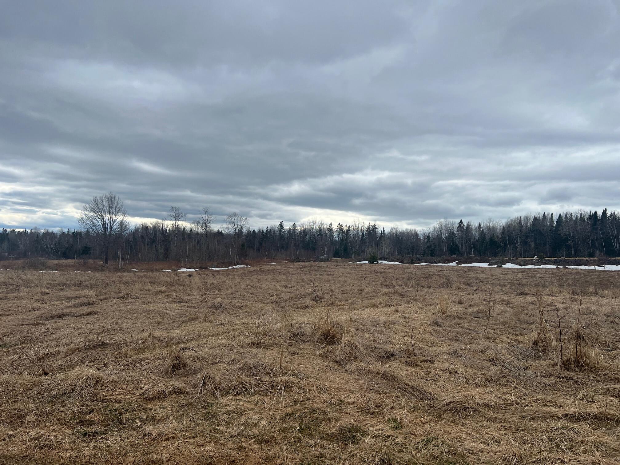 12 Jamies Road Linneus, ME 04730 - Photo 1 of 12 IMG_4463
