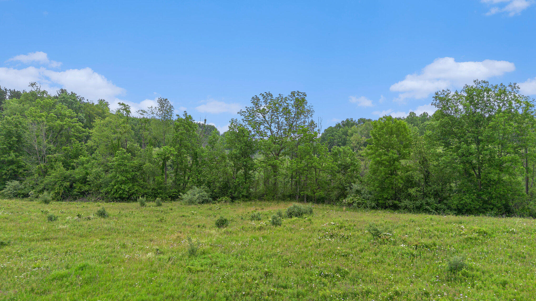 0 East Clear Lake Road Buchanan, MI 49107 - Photo 4 of 7 005_dji_0203_878