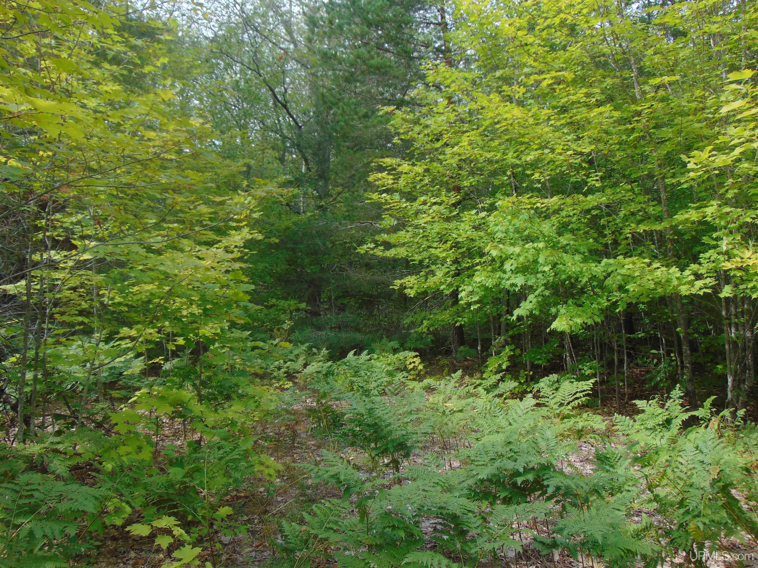 15 Coles Creek Road Atlantic Mine, MI 49905 - Photo 17 of 31