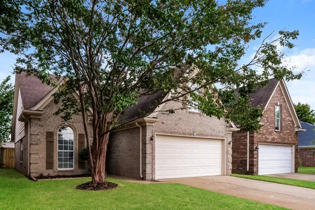 a tree in front of a white house