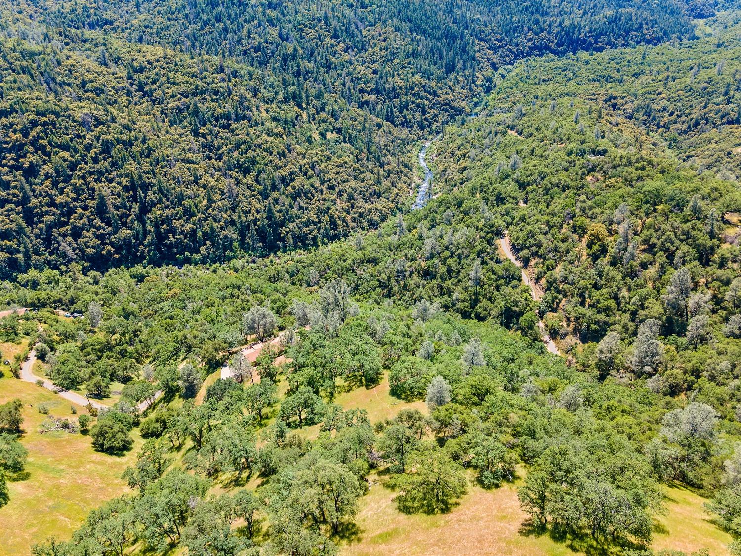 6801 Sagittarius Road Placerville, CA 95667 - Photo 3 of 34 a view of a large yard with lots of bushes