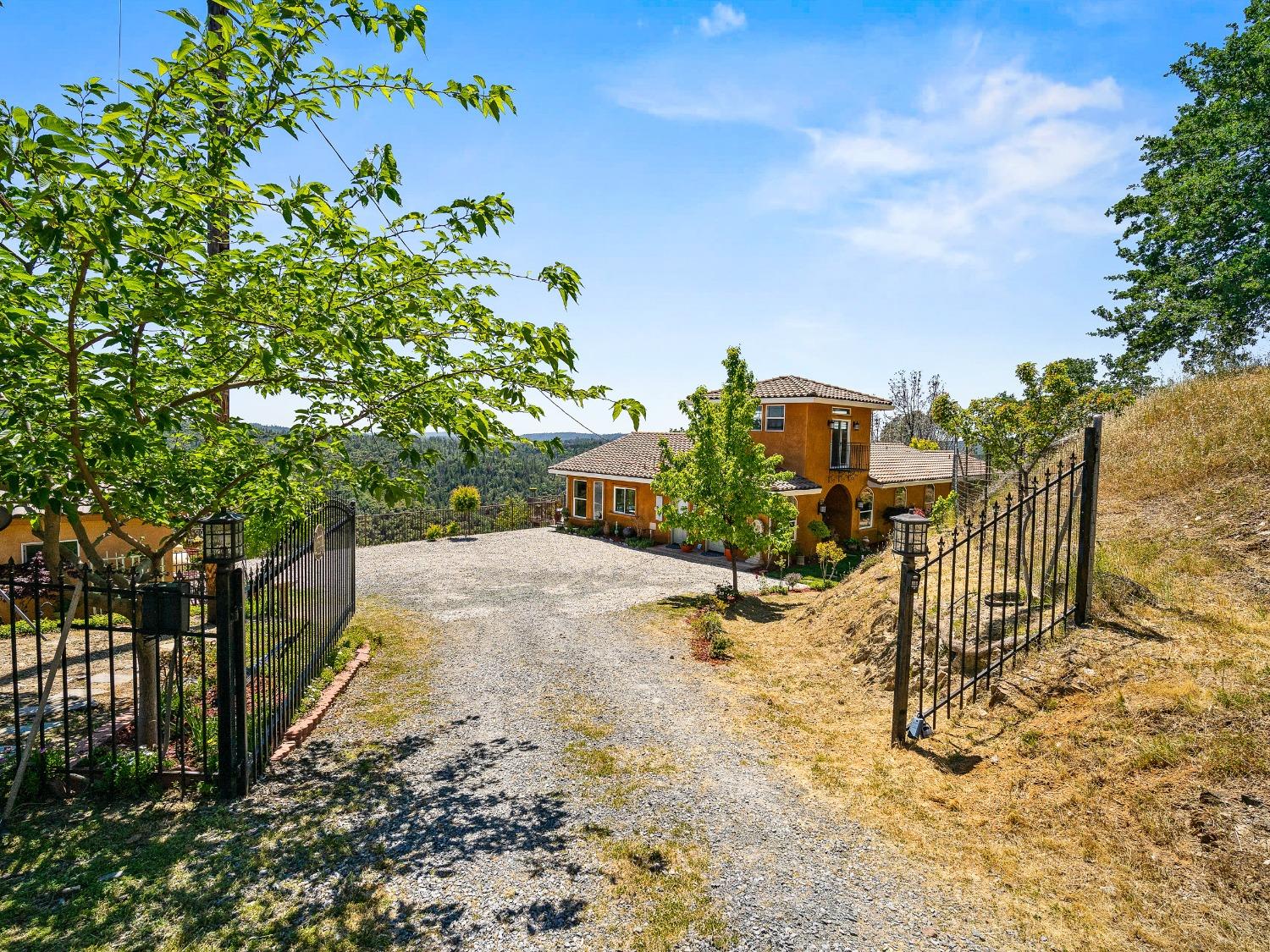 6801 Sagittarius Road Placerville, CA 95667 - Photo 9 of 34 a view of a yard with plants