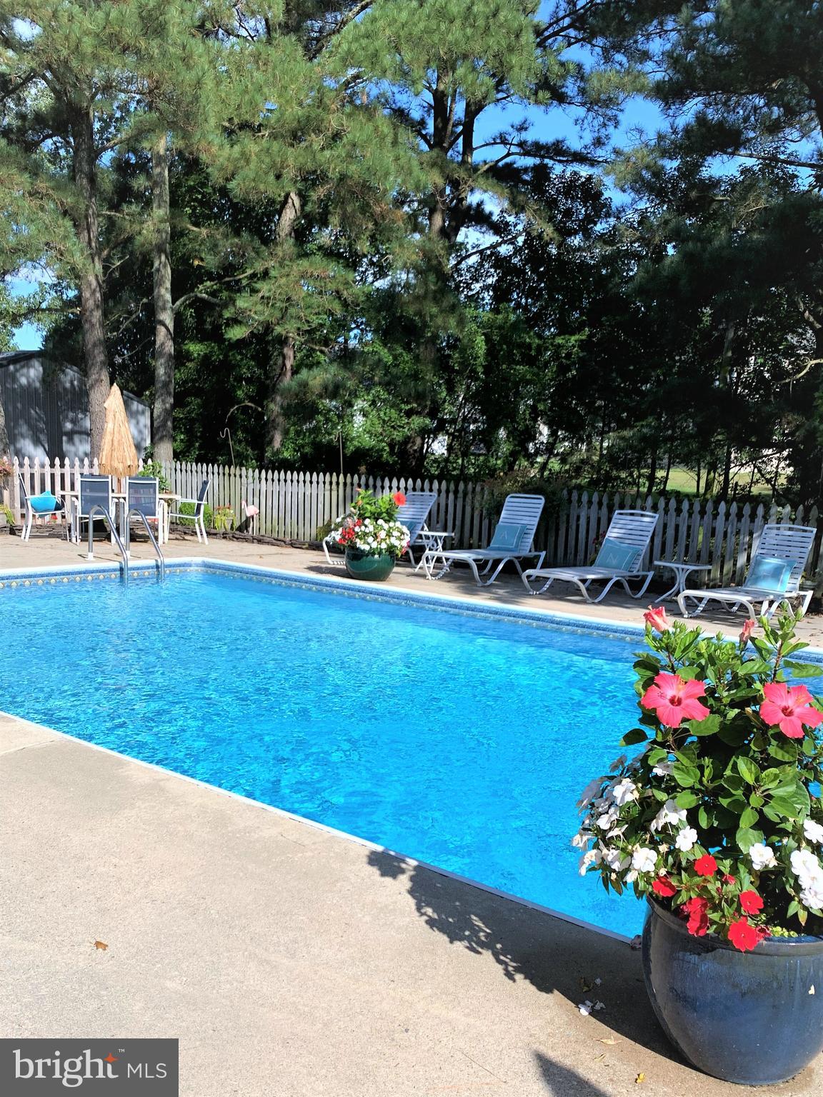 41 Lighthouse Road Selbyville, DE 19975 - Photo 27 of 35 Inground deep pool