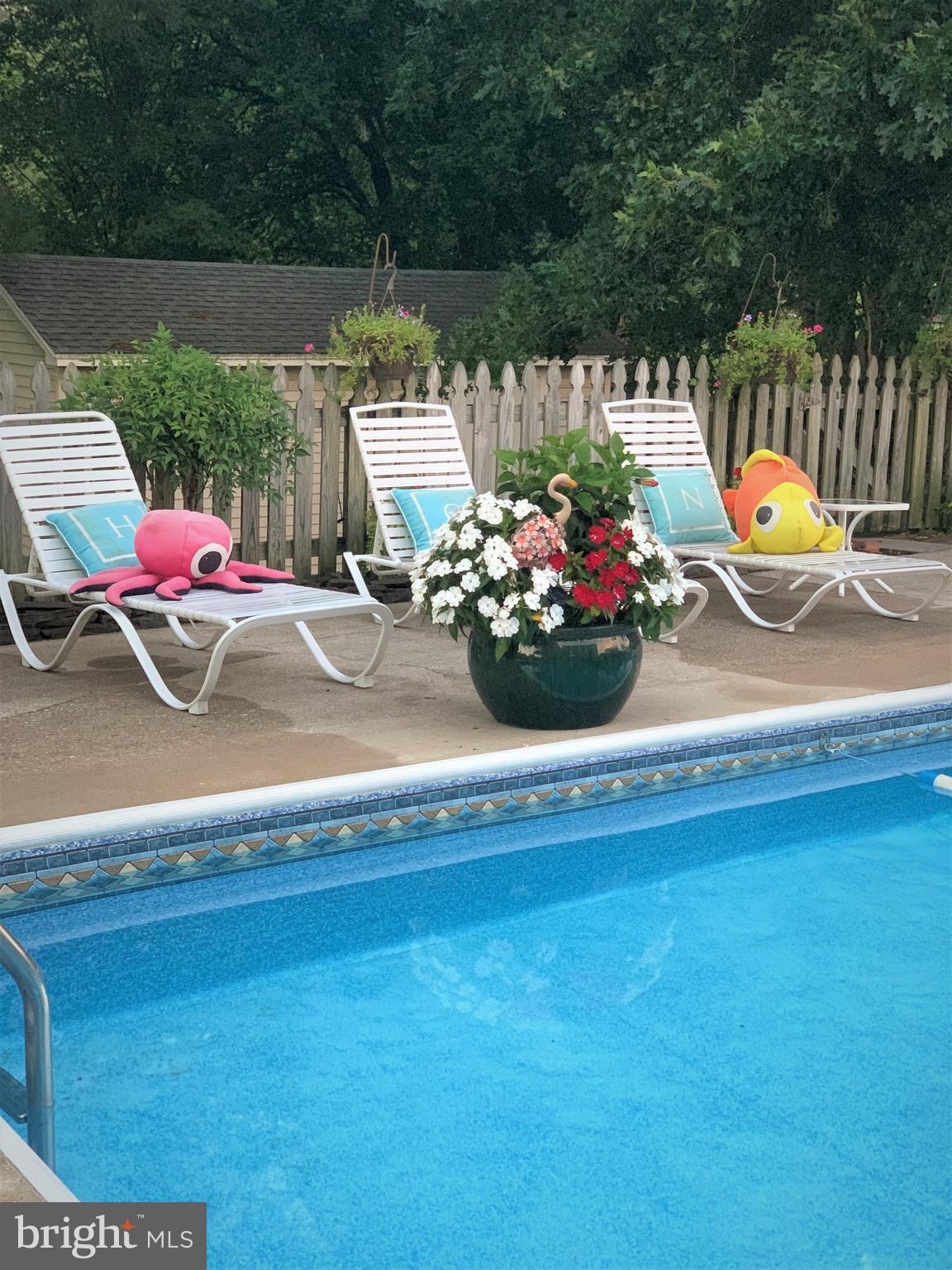 41 Lighthouse Road Selbyville, DE 19975 - Photo 28 of 35 Pool when opened