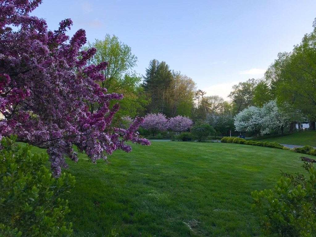 12 English Road Sudbury, MA 01776 - Photo 40 of 42