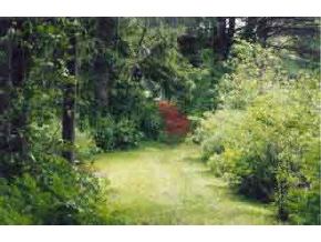 67 Herricks Cove Road Woodbury, VT 05650 - Photo 3 of 6 Gallery Image 3