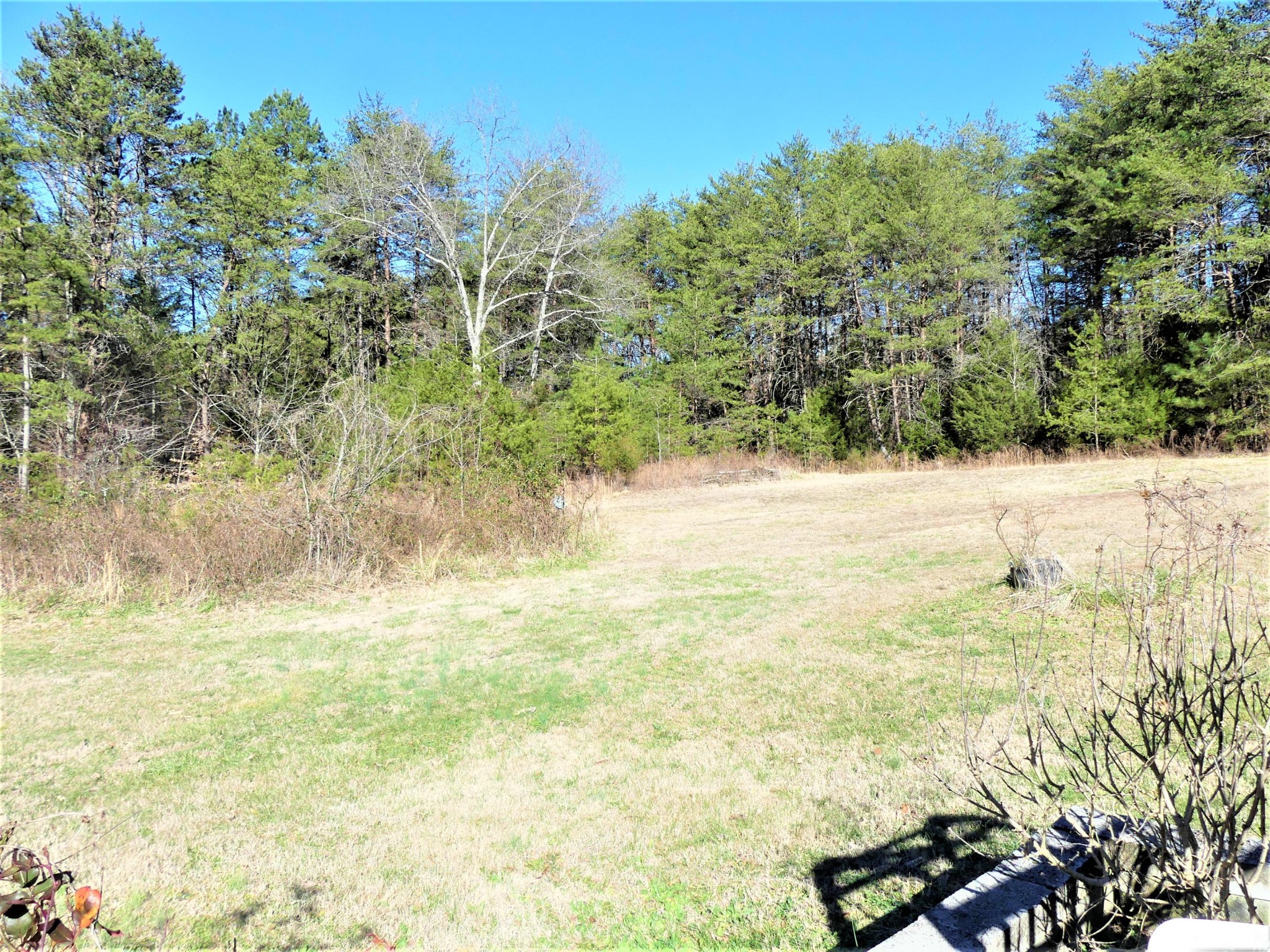 463 Co Road Englewood, TN 37329 - Photo 34 of 38
