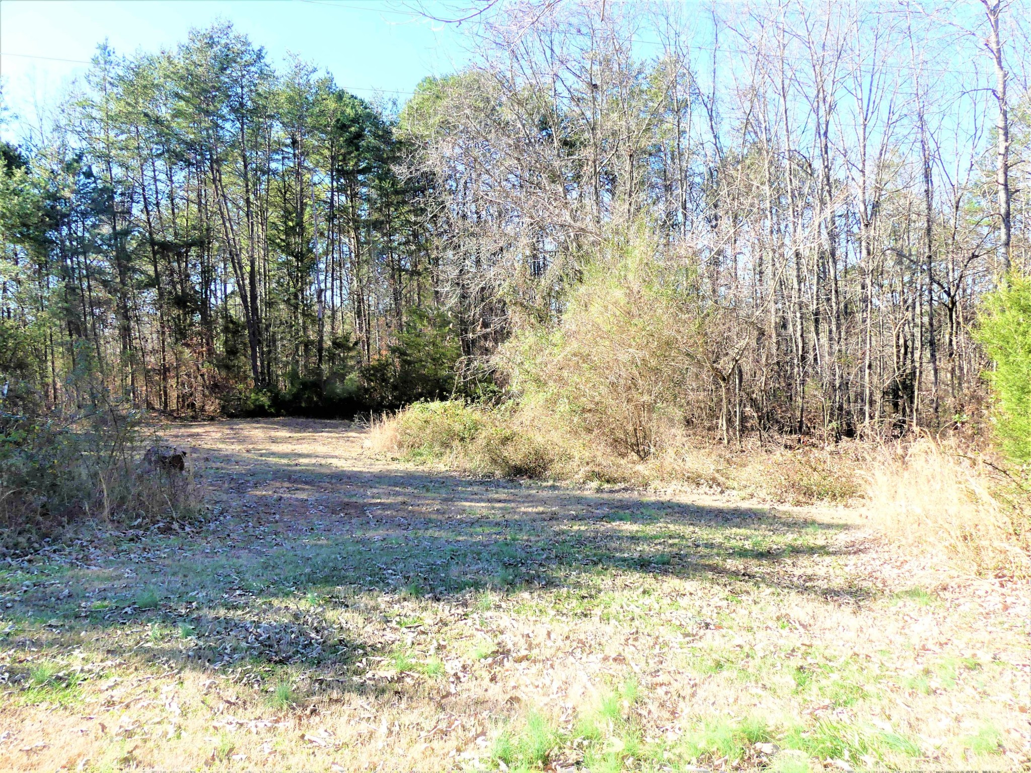 463 Co Road Englewood, TN 37329 - Photo 37 of 38