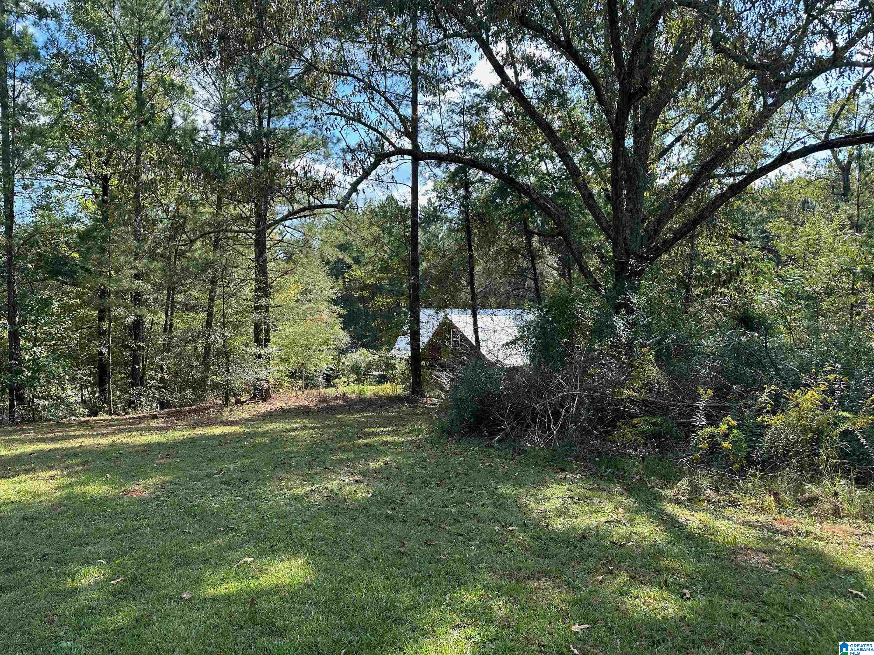 9204 Marsh Mountain Road Pinson, AL 35126 - Photo 41 of 56