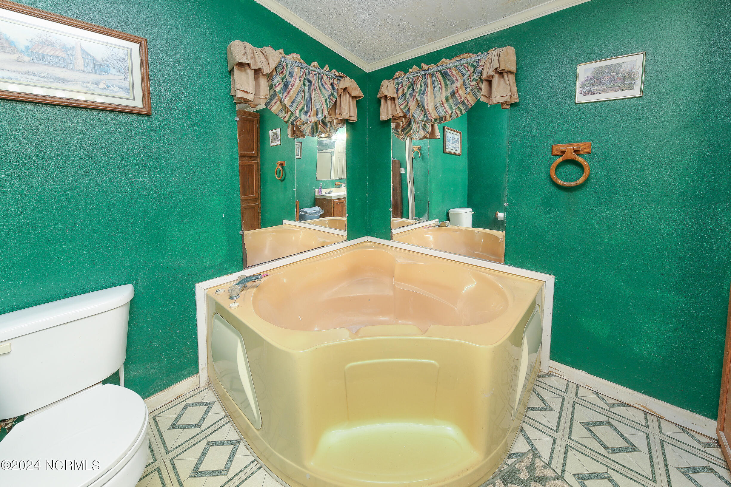 225 North Gregory Road Shawboro, NC 27973 - Photo 20 of 44 4G8A8162