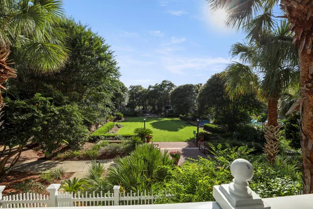 a view of a garden with plants