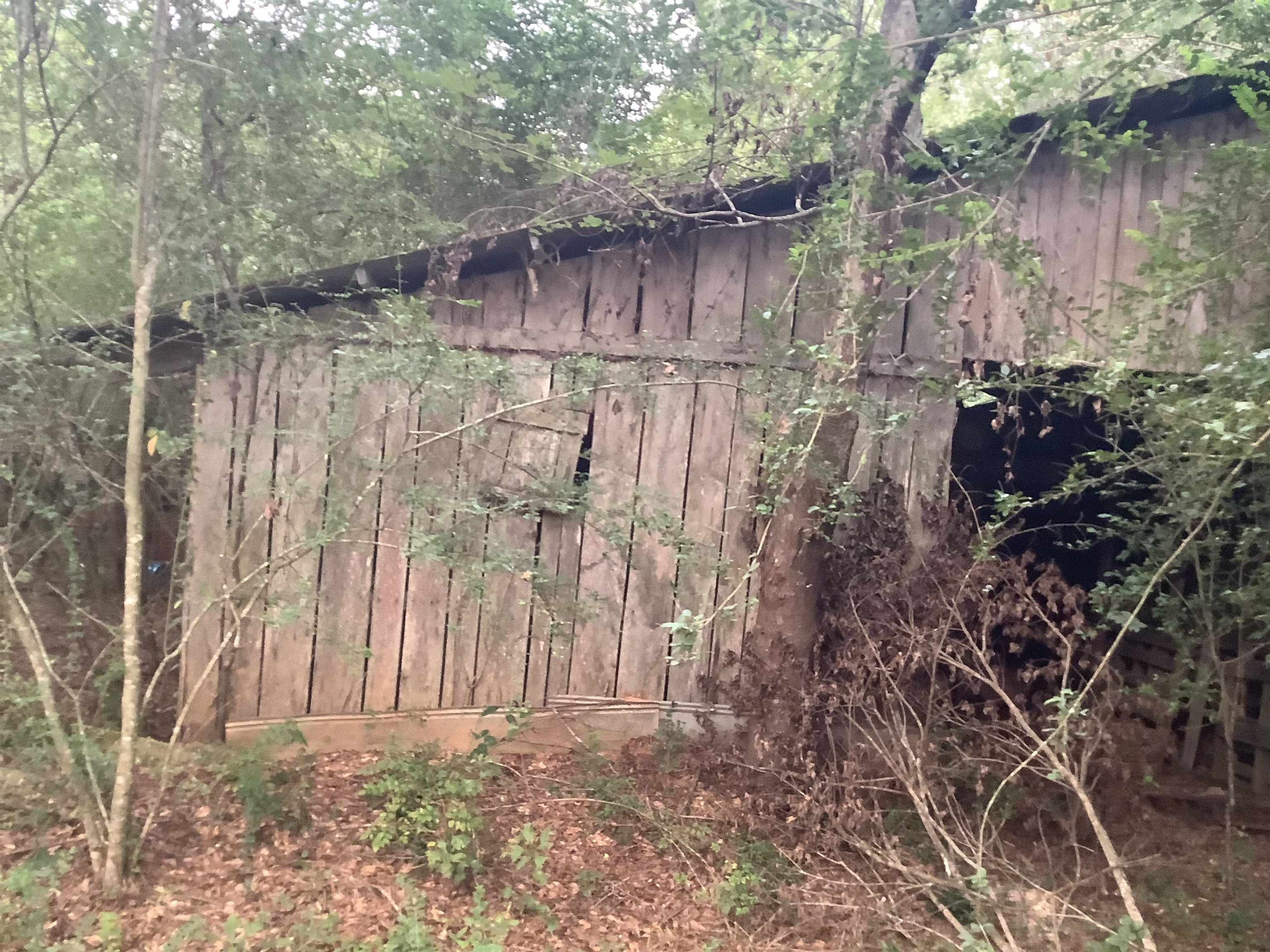 0 Old School Road Opp, AL 36467 - Photo 18 of 24 Gallery Image 18