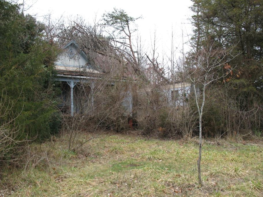 a house with trees in the background