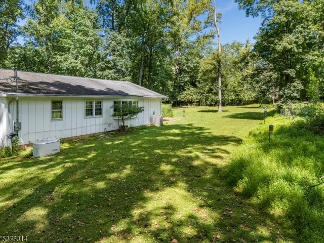 a view of a trees in a park