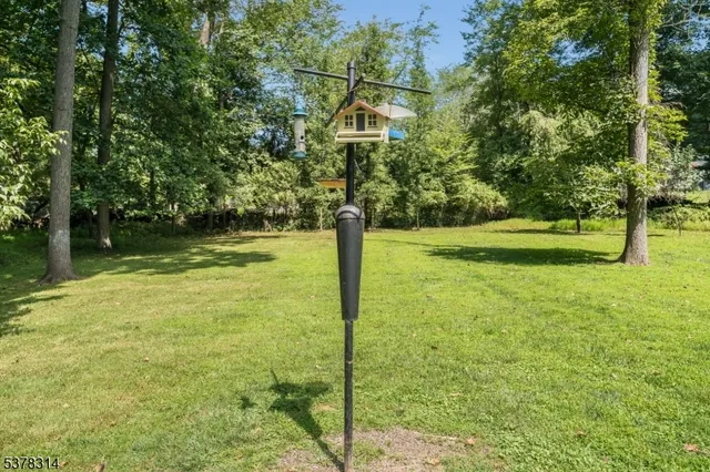 a front view of a house with yard and green space