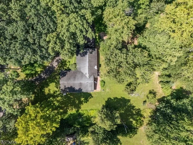 a view of a wall with paintings on the wall