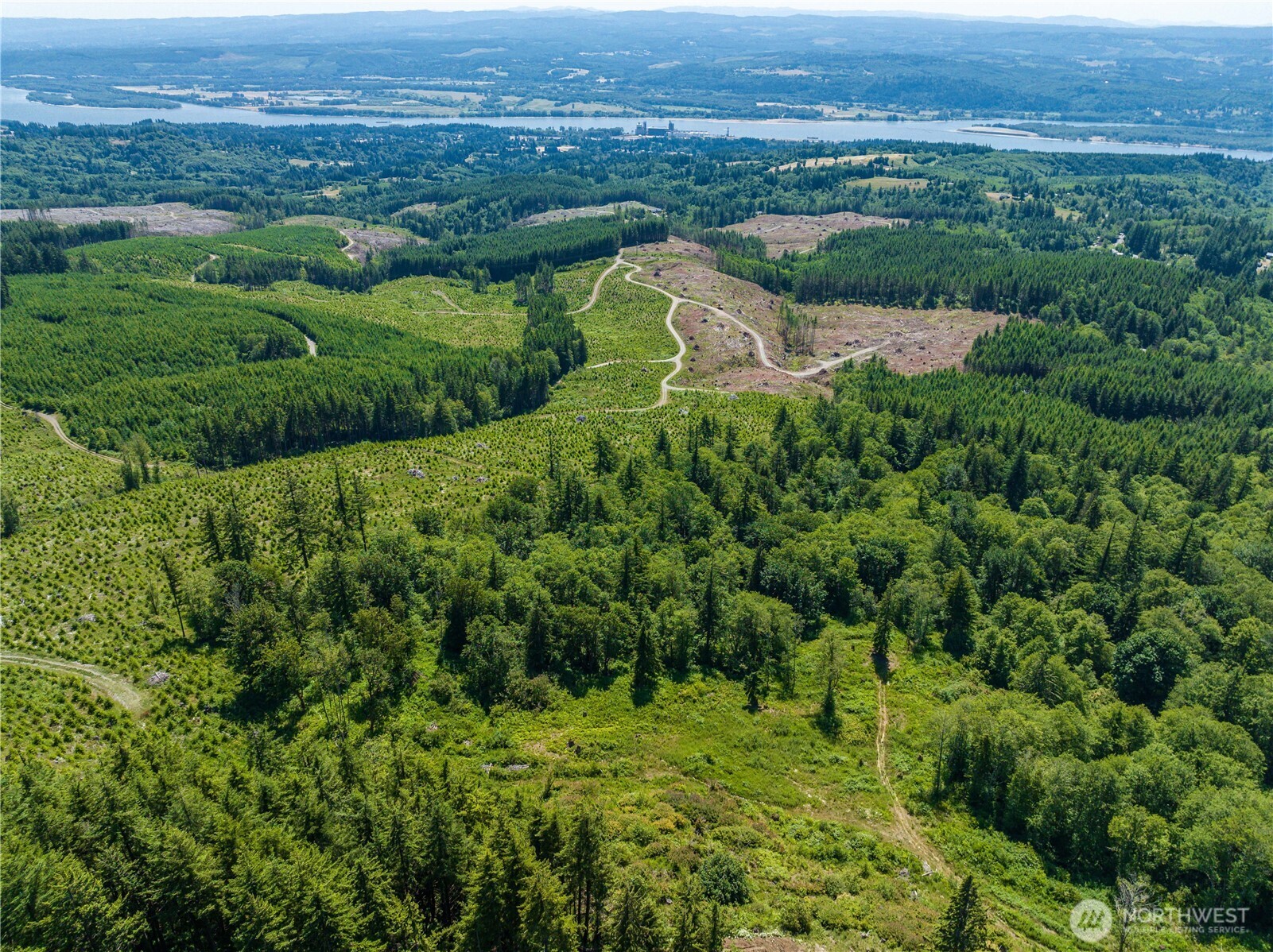 0 China Garden Road Kalama, WA 98625 - Photo 12 of 23 a view of a lush green hillside and a houses