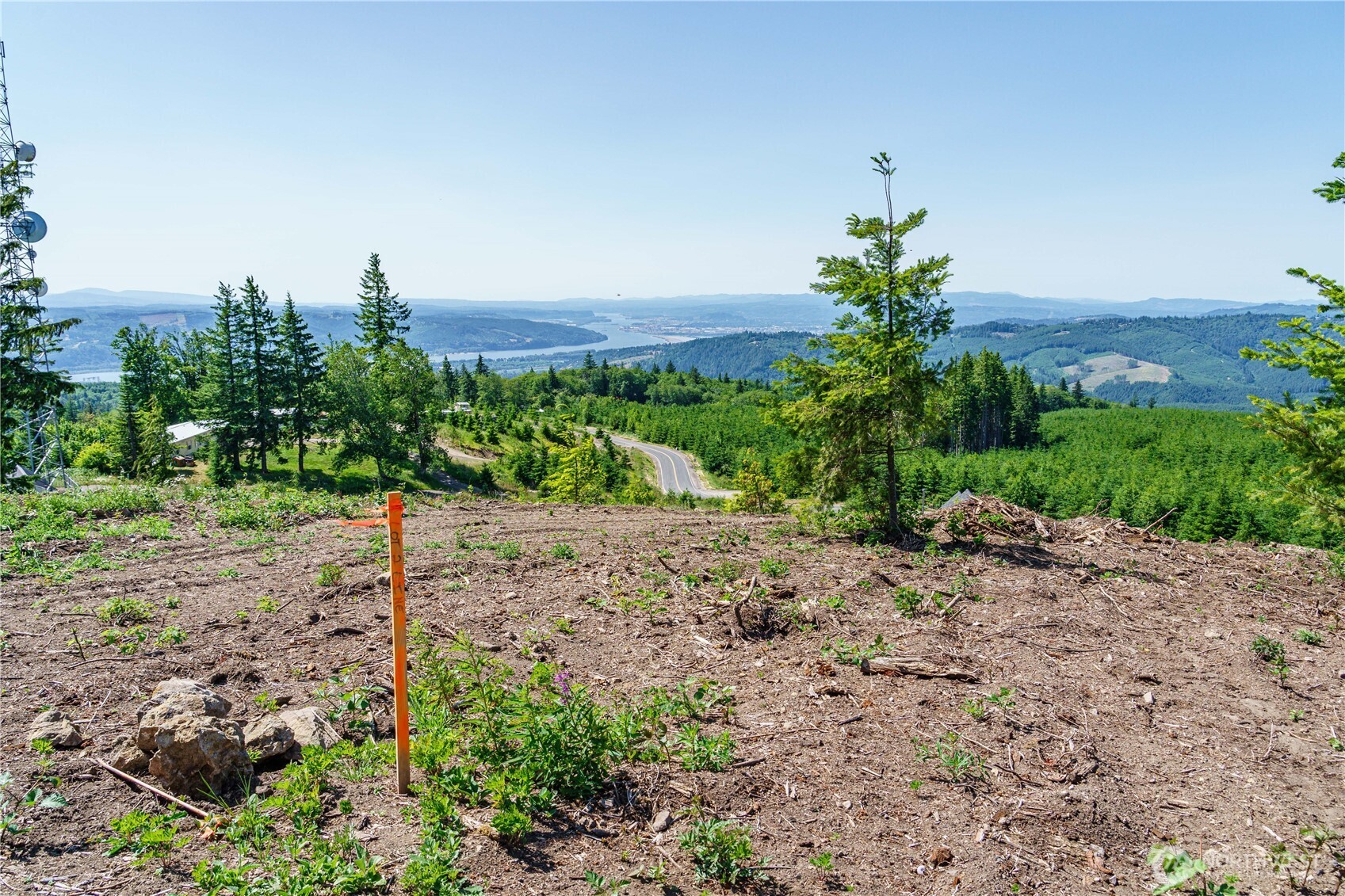 0 China Garden Road Kalama, WA 98625 - Photo 19 of 23 a view of a dry yard with trees and plants